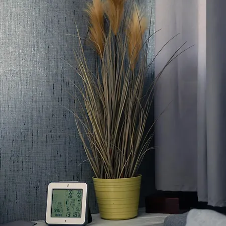 Captains Danube Houseboat - Daire Bratislava