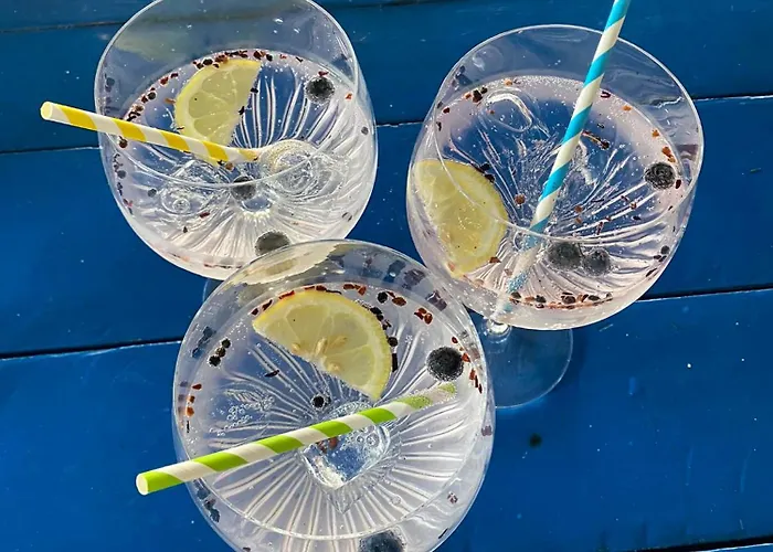 Captains Danube Houseboat - *