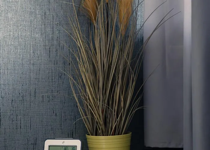 Captains Danube Houseboat - شقة براتسيلافا