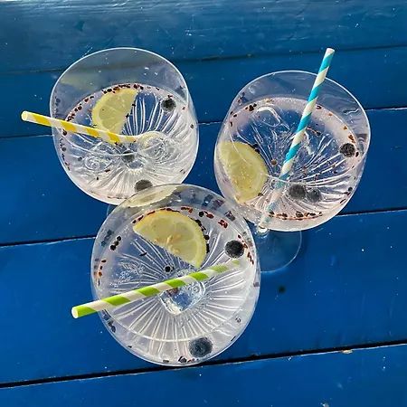 Captains Danube Houseboat - *